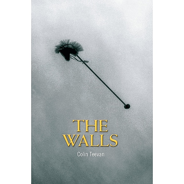 The Walls / Oberon Modern Plays, Colin Teevan