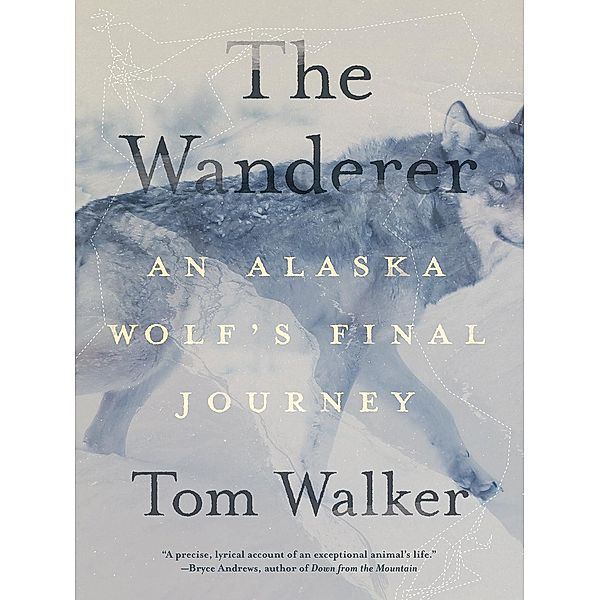The Wanderer, Tom Walker
