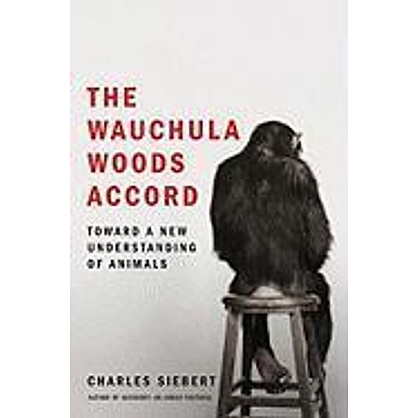 The Wauchula Woods Accord, Charles Siebert