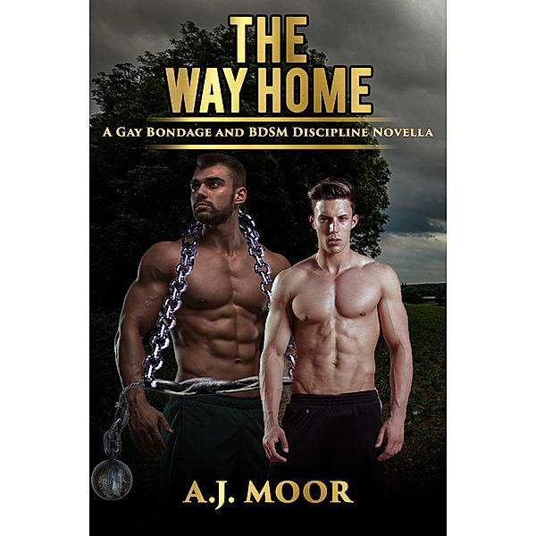The Way Home, A.J. Moor