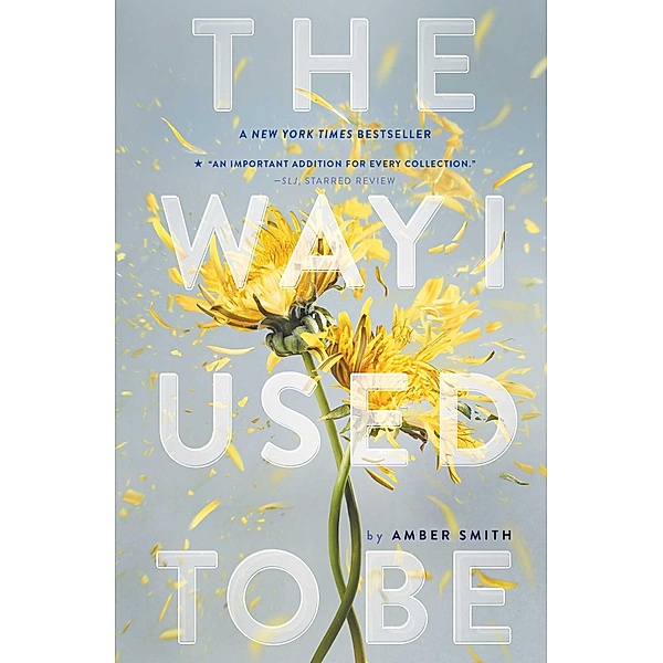 The Way I Used to Be, Amber Smith