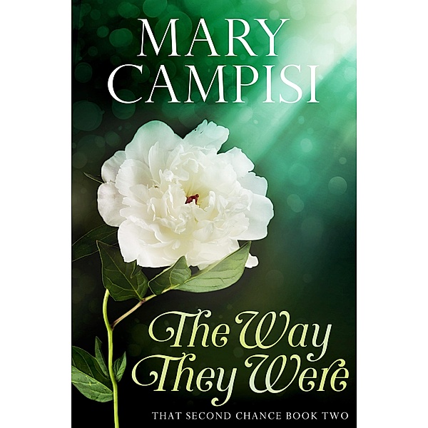 The Way They Were (That Second Chance, #2) / That Second Chance, Mary Campisi