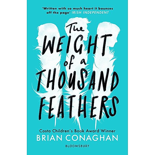 The Weight of a Thousand Feathers, Brian Conaghan