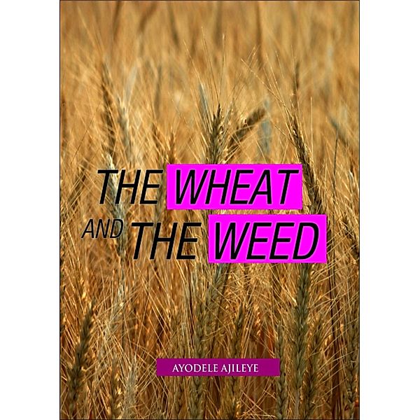 The Wheat and the Weed, Ayodele Ajileye