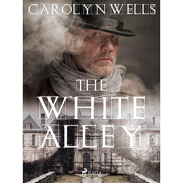 The White Alley / Fleming Stone Bd.6, Carolyn Wells