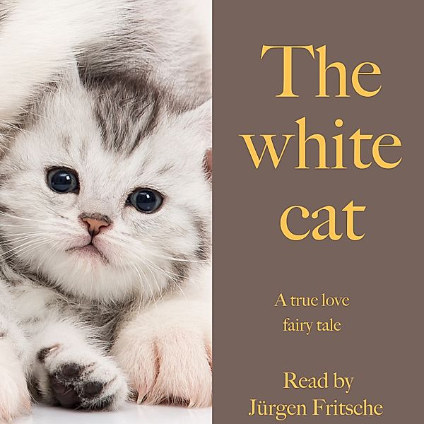 The white cat, Andrew Lang