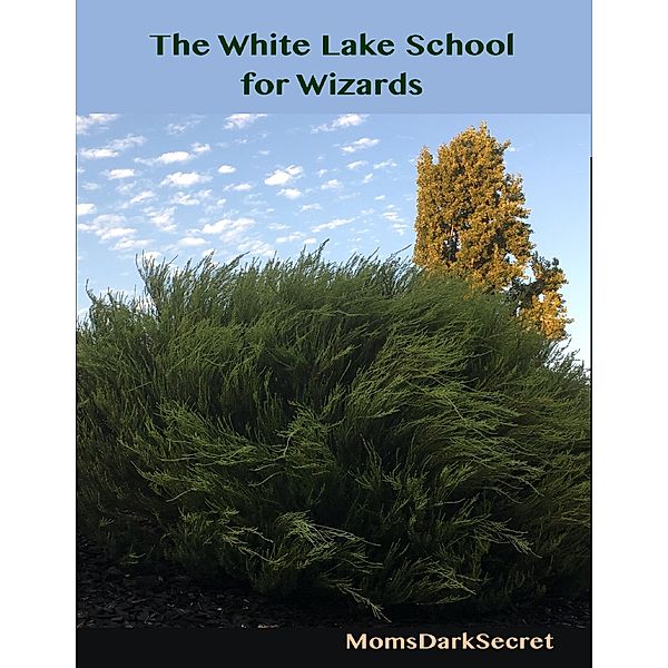 The White Lake School for Wizards, MomsDarkSecret