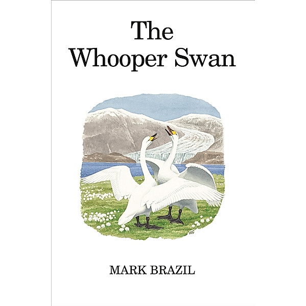 The Whooper Swan, Mark Brazil