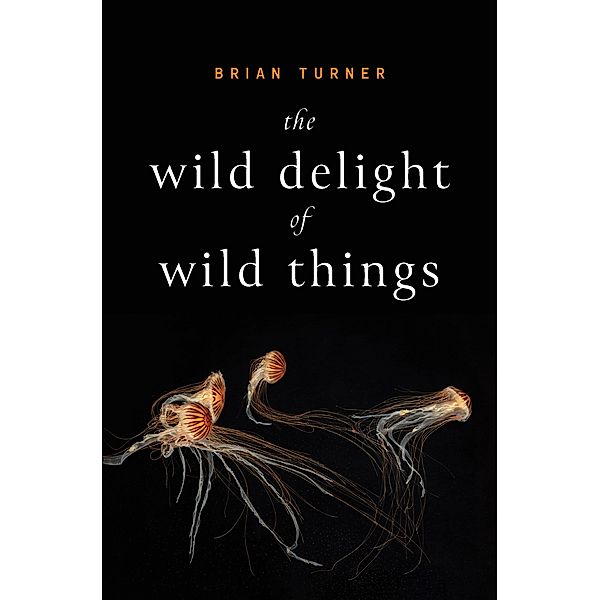 The Wild Delight of Wild Things, Brian Turner