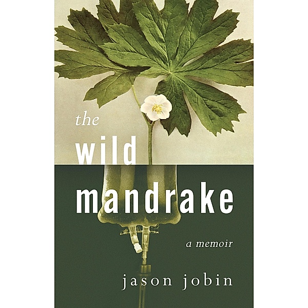 The Wild Mandrake, Jason Jobin