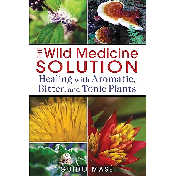 The Wild Medicine Solution / Healing Arts, Guido Masé