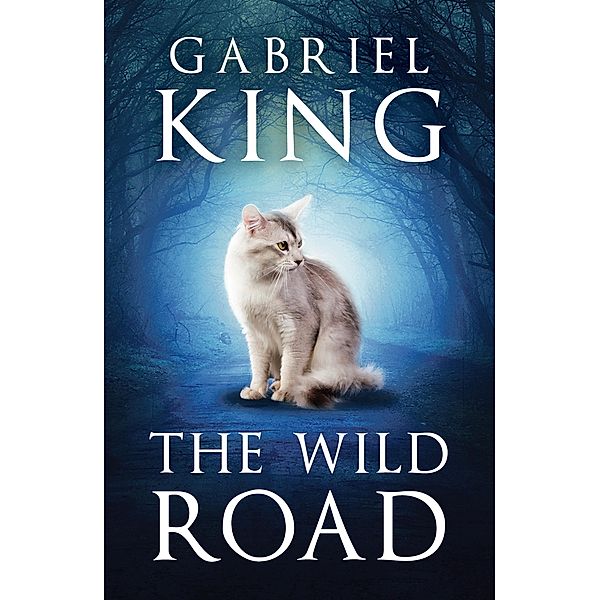 The Wild Road, Gabriel King