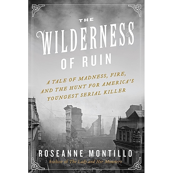 The Wilderness of Ruin, Roseanne Montillo