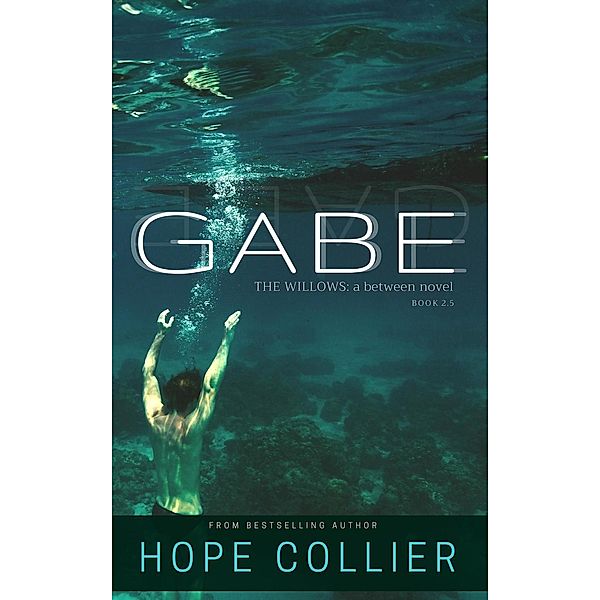 The Willows: Gabe (The Willows, #2.5), Hope Collier