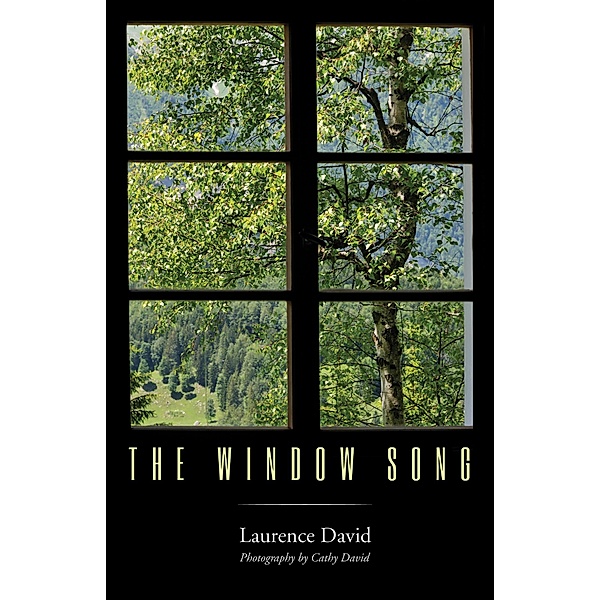 The Window Song, Laurence David