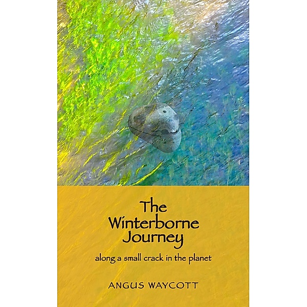 The Winterborne Journey, Angus Waycott