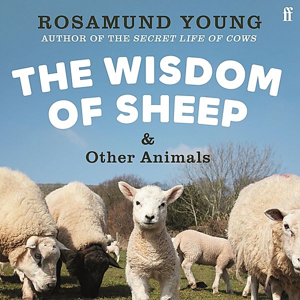 The Wisdom of Sheep & Other Animals, Rosamund Young