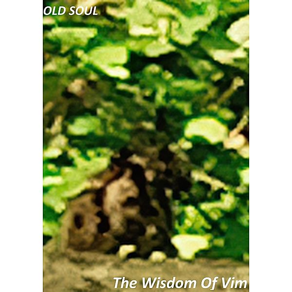 The Wisdom of Vim, Old Soul