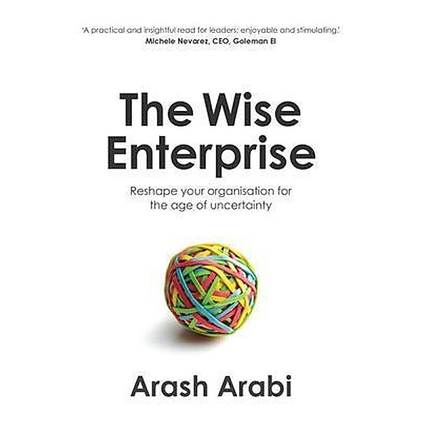 The Wise Enterprise, Arash Arabi