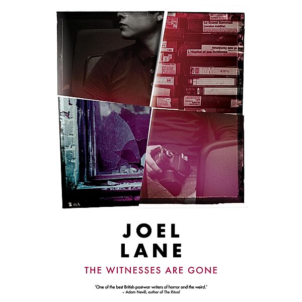 The Witnesses Are Gone, Joel Lane