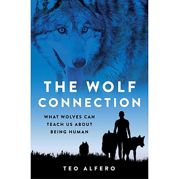 The Wolf Connection, Teo Alfero