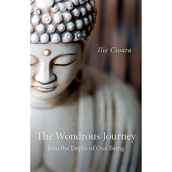 The Wondrous Journey, Ilie Cioara