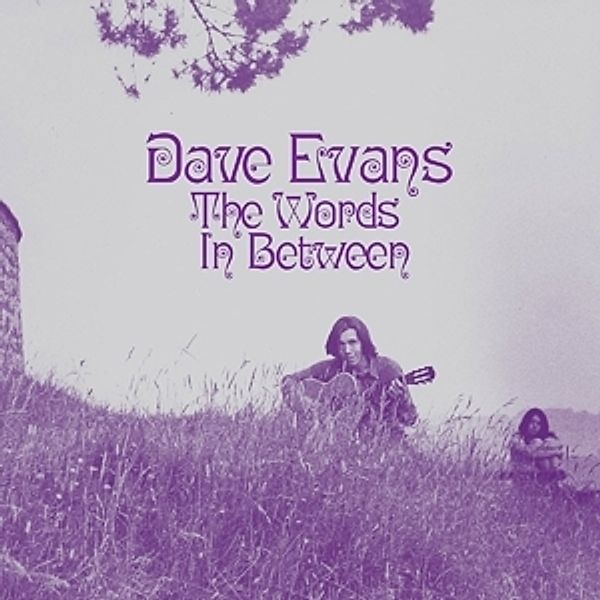 The Words In Between (Vinyl), Dave Evans