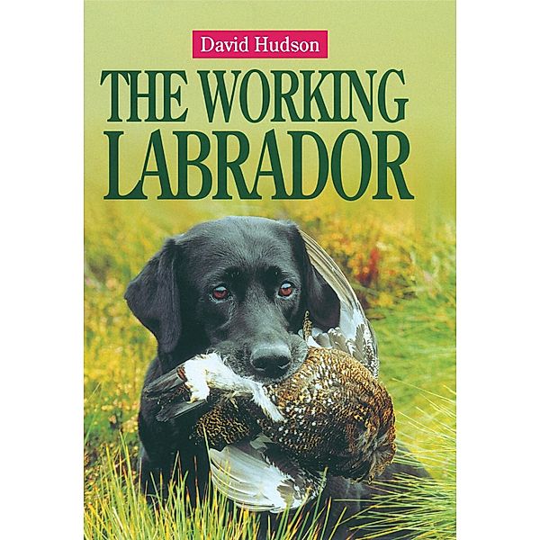 The Working Labrador, David Hudson