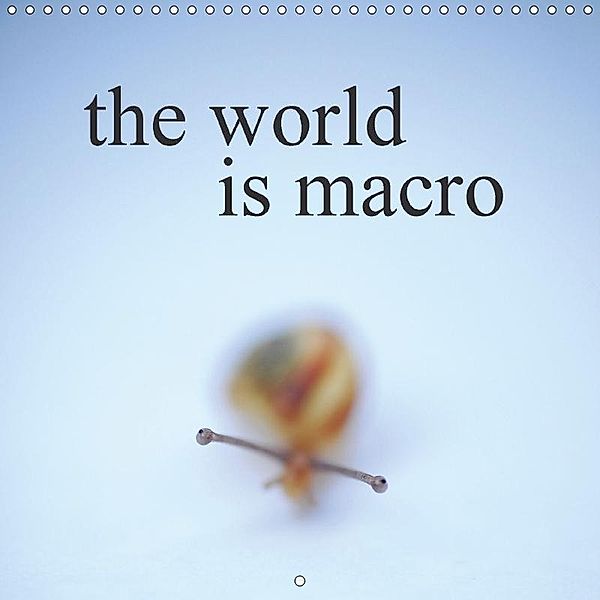 the world is macro (Wall Calendar 2017 300 × 300 mm Square), MOSERT et KAINA photographie