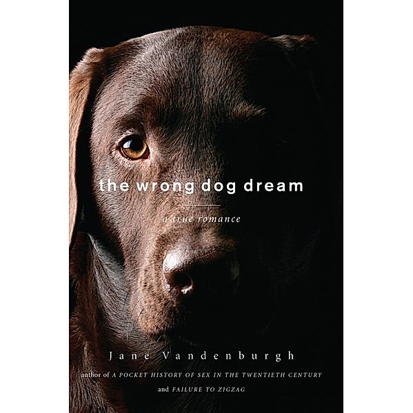 The Wrong Dog Dream, Jane Vandenburgh