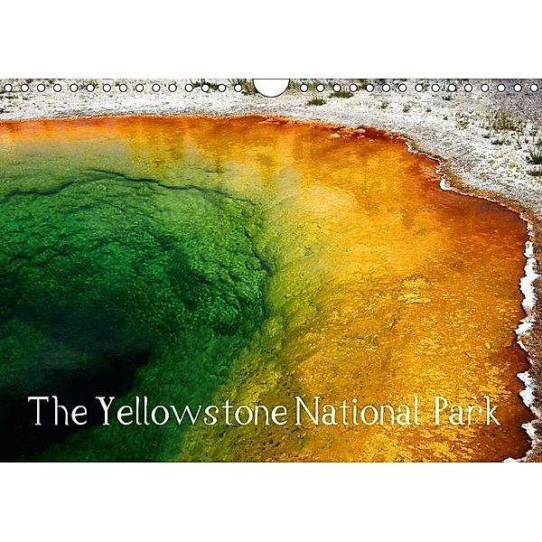The Yellowstone National Park - UK Version (Wall Calendar 2017 DIN A4 Landscape), Crystal Lights by Sylvia Ochsmann