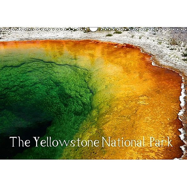 The Yellowstone National Park (Wall Calendar 2018 DIN A3 Landscape), Sylvia Seibl