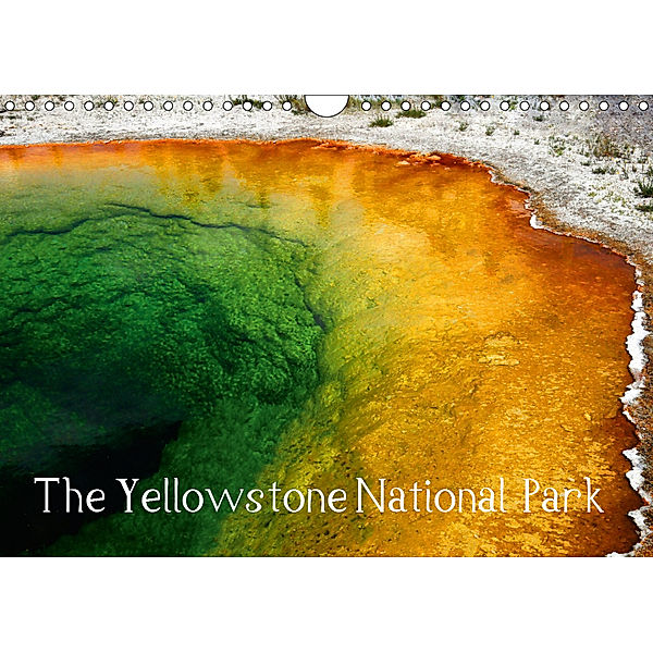 The Yellowstone National Park (Wall Calendar 2019 DIN A4 Landscape), Sylvia Seibl