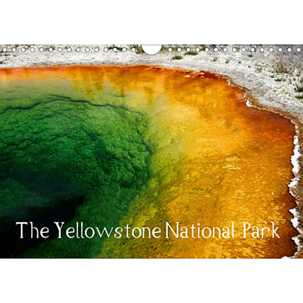 The Yellowstone National Park (Wall Calendar 2021 DIN A4 Landscape), Sylvia Seibl