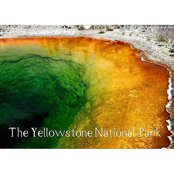 The Yellowstone National Park (Wall Calendar 2023 DIN A3 Landscape), Sylvia Seibl