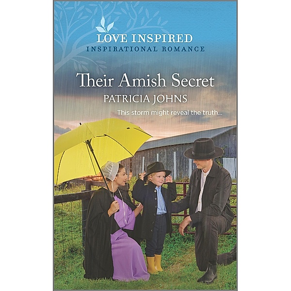 Their Amish Secret / Amish Country Matches Bd.2, Patricia Johns