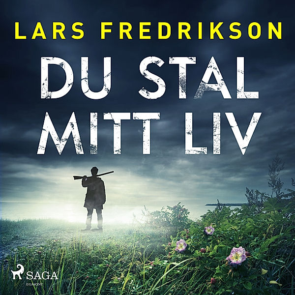 Theo Berlin - 2 - Du stal mitt liv, Lars Fredrikson