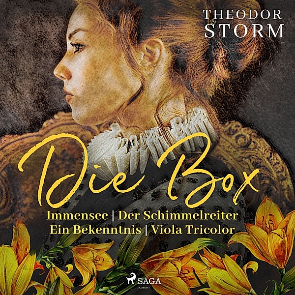 Theodor Storm. Die Box: Immensee | Der Schimmelreiter | Ein Bekenntnis | Viola Tricolor, Theodor Storm