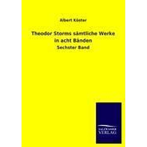 Theodor Storms sämtliche Werke in acht Bänden.Bd.6, Theodor Storm