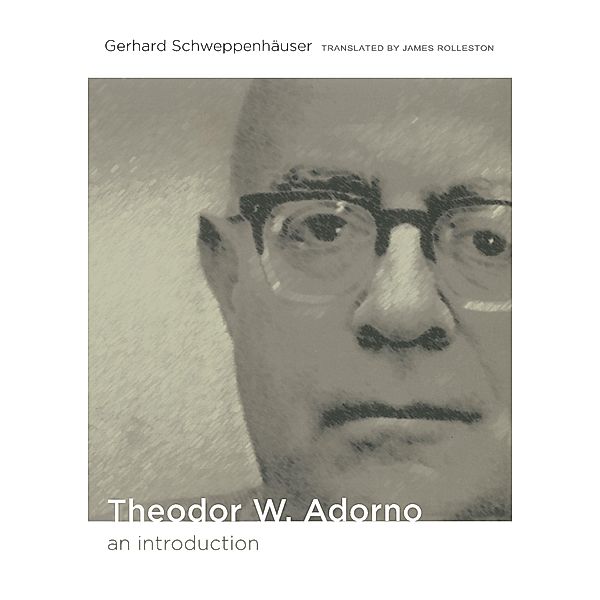 Theodor W. Adorno / Post-Contemporary Interventions, Schweppenhauser Gerhard Schweppenhauser