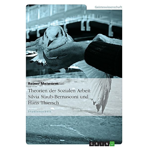 Theorien der Sozialen Arbeit: Silvia Staub-Bernasconi und Hans Thiersch, Reiner Meiworm