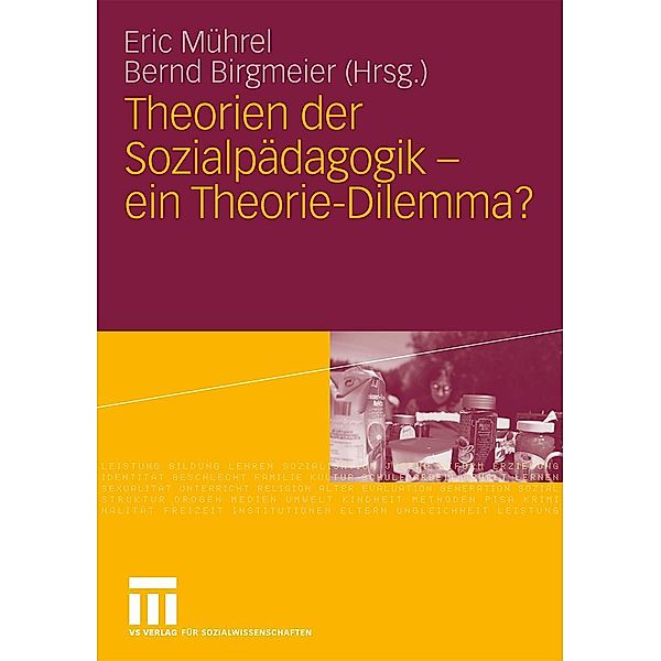 Theorien der Sozialpädagogik - ein Theorie-Dilemma?