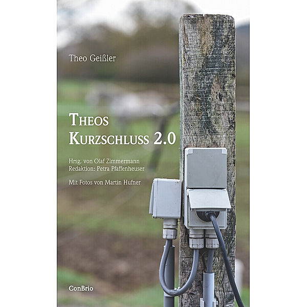 Theos Kurzschluss 2.0, Theo Geißler
