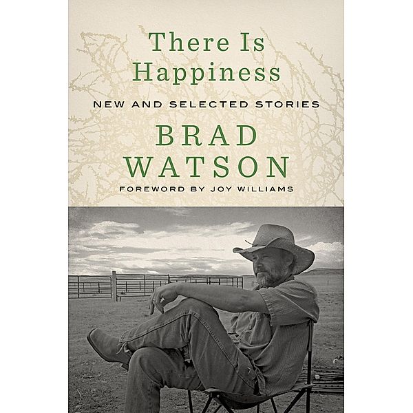 There Is Happiness: New and Selected Stories, Brad Watson