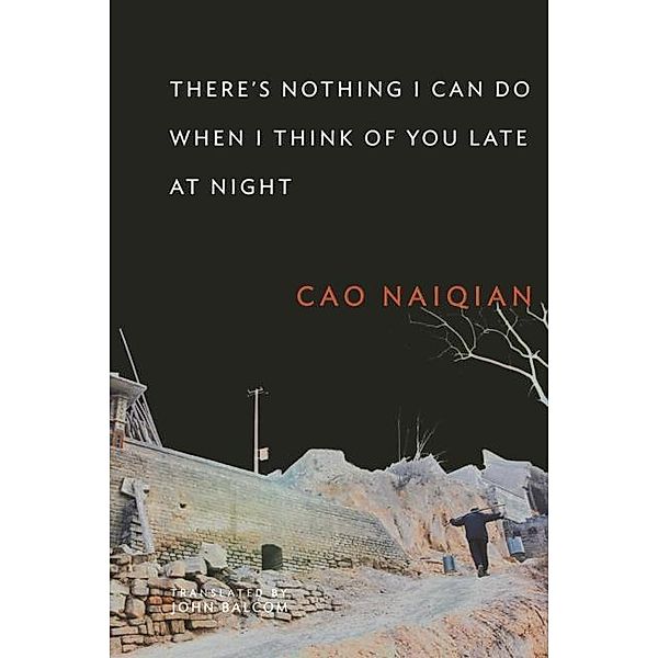 There's Nothing I Can Do When I Think of You Late at Night, Naiqian Cao
