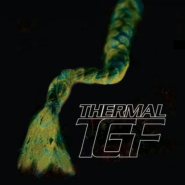 Thermal (Vinyl), Teengirl Fantasy