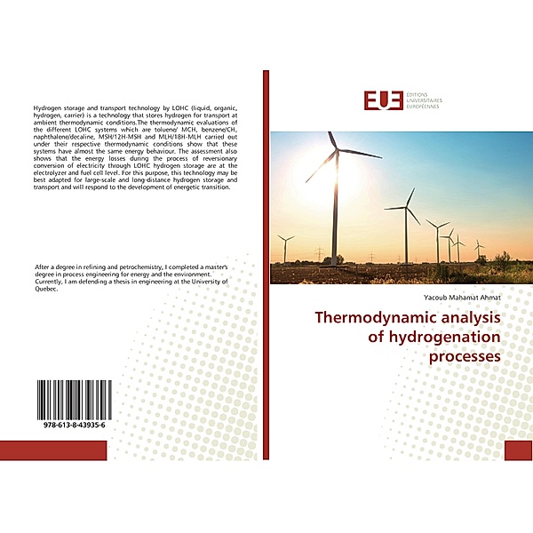 Thermodynamic analysis of hydrogenation processes, Yacoub Mahamat Ahmat
