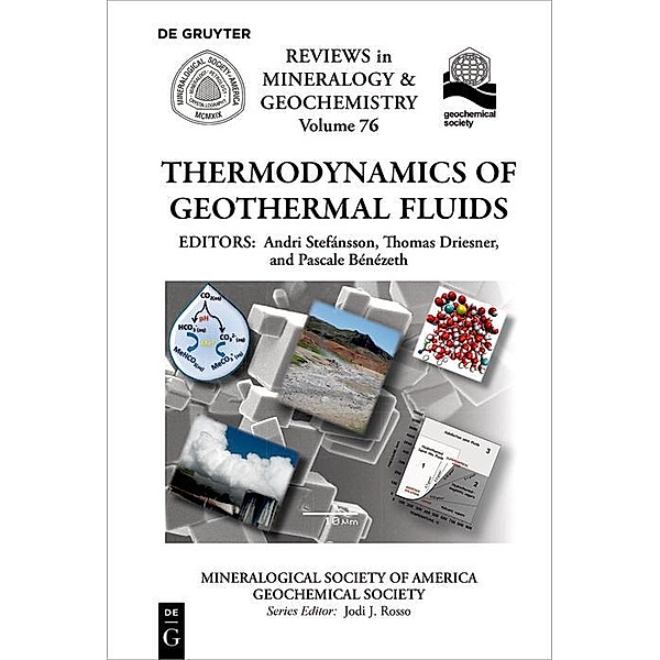 Thermodynamics of Geothermal Fluids / Reviews in Mineralogy and Geochemistry Bd.76