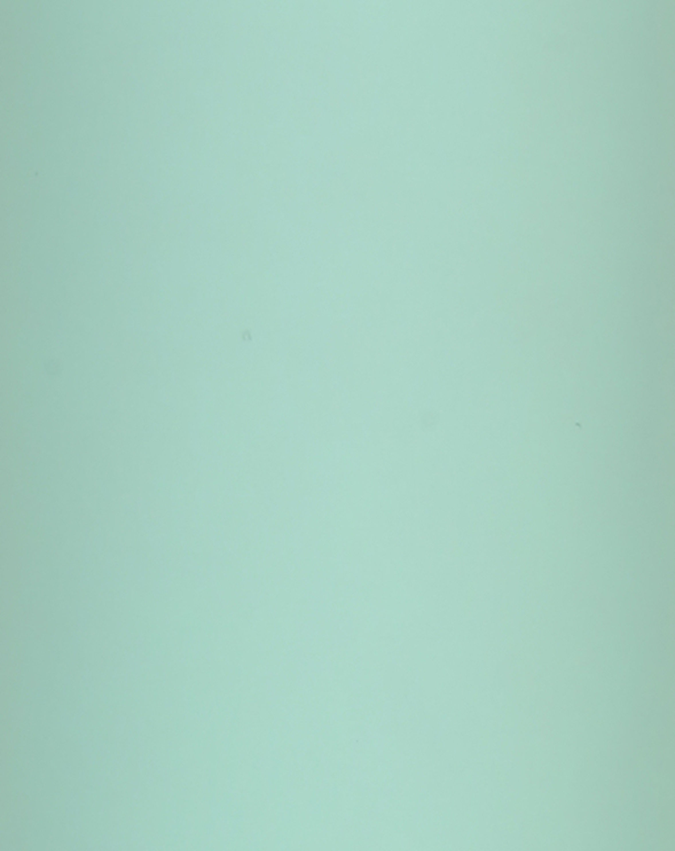 Thermoflasche BAMBOO Farbe: mint-grün kaufen | tausendkind.at