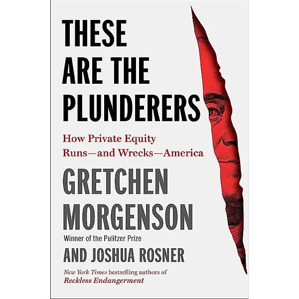 These Are the Plunderers, Gretchen Morgenson, Joshua Rosner